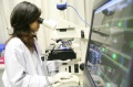 stock_photo:labs:envi_tox:activities:comet_assay:comet_assay8_l.jpg