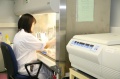stock_photo:labs:immunology:activities:cell_culture:cell_culture4_l.jpg