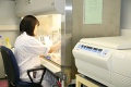 stock_photo:labs:immunology:activities:cell_culture:cell_culture4_s.jpg