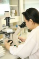 stock_photo:labs:immunology:activities:cell_culture:cell_culture6_l.jpg