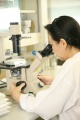 stock_photo:labs:immunology:activities:cell_culture:cell_culture6_o.jpg