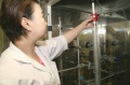 stock_photo:labs:immunology:activities:column_chroma:column_chroma1_l.jpg
