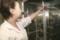 stock_photo:labs:immunology:activities:column_chroma:column_chroma1_s.jpg
