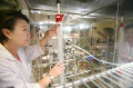 stock_photo:labs:immunology:activities:column_chroma:column_chroma3_l.jpg