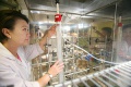 stock_photo:labs:immunology:activities:column_chroma:column_chroma3_s.jpg