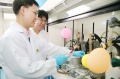 stock_photo:labs:med_chem:activities:inert_reactions:inert_reactions1_l.jpg
