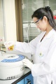 stock_photo:labs:med_chem:activities:microwave_reaction:microwave_reaction1_s.jpg