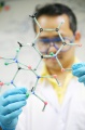 stock_photo:labs:med_chem:activities:model:model10_l.jpg