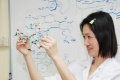 stock_photo:labs:med_chem:activities:model:model2_l.jpg