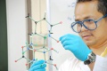 stock_photo:labs:med_chem:activities:model:model3_s.jpg