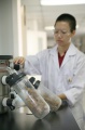stock_photo:labs:nat_prod:activities:freeze_drying:freeze_drying4_l.jpg