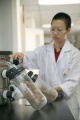 stock_photo:labs:nat_prod:activities:freeze_drying:freeze_drying4_s.jpg