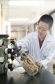 stock_photo:labs:nat_prod:activities:freeze_drying:freeze_drying7_l.jpg