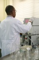 stock_photo:labs:nat_prod:activities:hplc_analysis:hplc_analysis8_l.jpg