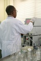 stock_photo:labs:nat_prod:activities:hplc_analysis:hplc_analysis8_s.jpg
