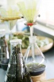 stock_photo:labs:nat_prod:instruments:filtration:filtration1_l.jpg