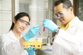 stock_photo:labs:org_synth:activities:vials:vials3_s.jpg