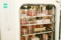 stock_photo:labs:pharmacology:activities:cell_culture:cell_culture1_l.jpg
