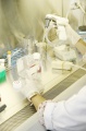 stock_photo:labs:pharmacology:activities:cell_culture:cell_culture2_l.jpg