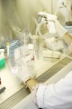 stock_photo:labs:pharmacology:activities:cell_culture:cell_culture2_s.jpg