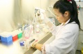stock_photo:labs:pharmacology:activities:cell_culture:cell_culture3_l.jpg