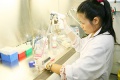 stock_photo:labs:pharmacology:activities:cell_culture:cell_culture3_s.jpg