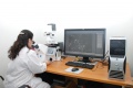 stock_photo:labs:pharmacology:activities:life_cell:life_cell1_l.jpg