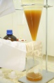 stock_photo:labs:pharmacology:activities:plant_ext:plant_ext4_l.jpg