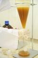stock_photo:labs:pharmacology:activities:plant_ext:plant_ext4_s.jpg