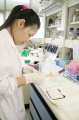 stock_photo:labs:pharmacology:activities:western_blot:western_blot1_l.jpg
