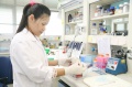 stock_photo:labs:pharmacology:activities:western_blot:western_blot2_l.jpg