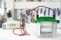 stock_photo:labs:pharmacology:instruments:electrophoresis:electrophoresis2_l.jpg