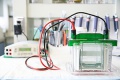 stock_photo:labs:pharmacology:instruments:electrophoresis:electrophoresis2_s.jpg
