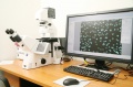stock_photo:labs:pharmacology:instruments:fluorescent_mic:fluorescent_mic1_l.jpg