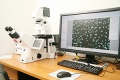stock_photo:labs:pharmacology:instruments:fluorescent_mic:fluorescent_mic1_s.jpg