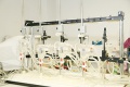 stock_photo:labs:pharmacology:instruments:organ_bath:organ_bath1_s.jpg