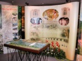 stock_photo:people:participants:2007_events:reh:reh_8_s.jpg