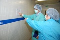 stock_photo:people:participants:2010_events:2010_03_15_iacuc_inspection:iacuc_inspection3_l.jpg