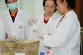 stock_photo:people:participants:2010_events:2010_06_01_lau_inhouse_training:lau_inhouse_training3_s.jpg