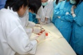 stock_photo:people:participants:2010_events:2010_06_01_lau_inhouse_training:lau_inhouse_training9_l.jpg