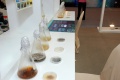stock_photo:people:participants:2010_events:2010_08_06_sci_week:sci_week1_l.jpg