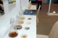 stock_photo:people:participants:2010_events:2010_08_06_sci_week:sci_week1_s.jpg