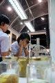 stock_photo:people:participants:2010_events:2010_08_06_sci_week:sci_week29_s.jpg