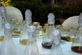 stock_photo:people:participants:2010_events:2010_08_06_sci_week:sci_week32_l.jpg