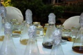 stock_photo:people:participants:2010_events:2010_08_06_sci_week:sci_week32_s.jpg