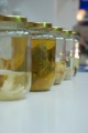 stock_photo:people:participants:2010_events:2010_08_06_sci_week:sci_week33_s.jpg