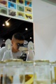 stock_photo:people:participants:2010_events:2010_08_06_sci_week:sci_week34_l.jpg