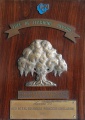 stock_photo:president:awards:1990:1990_tree_of_learning_01-s.jpg