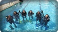 th:announcement:news:2014_news:25571229_save_sea:003.jpg
