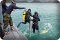 th:announcement:news:2014_news:25571229_save_sea:004.jpg